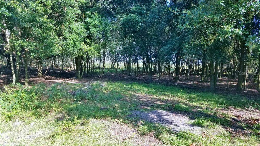LITCHFIELD LOOP, Winter Haven, FL 33884