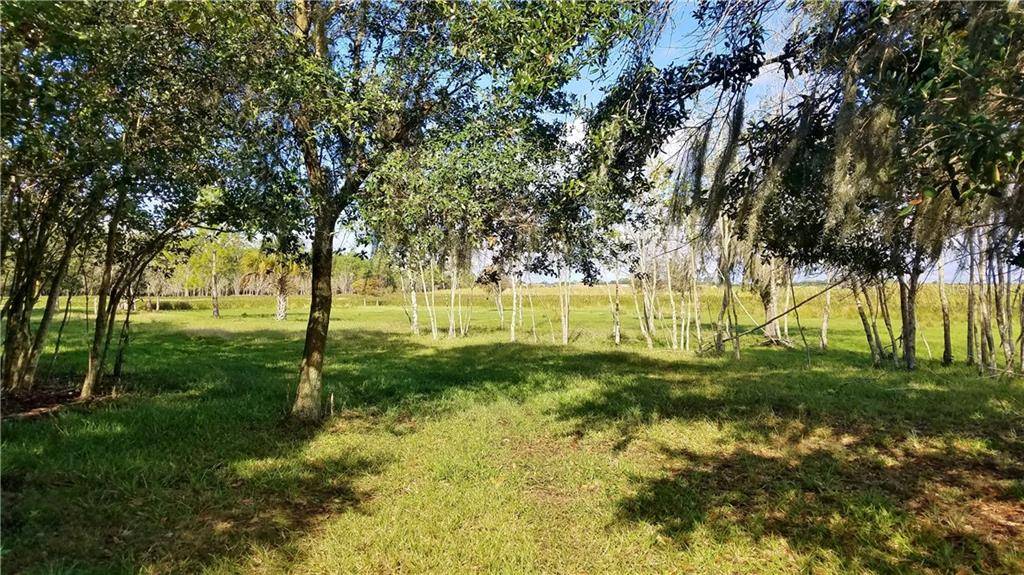 LITCHFIELD LOOP, Winter Haven, FL 33884