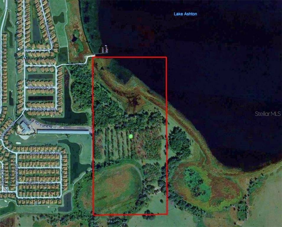 LITCHFIELD LOOP, Winter Haven, FL 33884