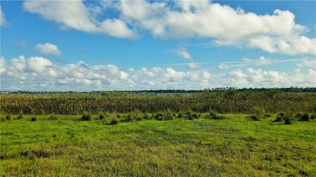 LITCHFIELD LOOP, Winter Haven, FL 33884