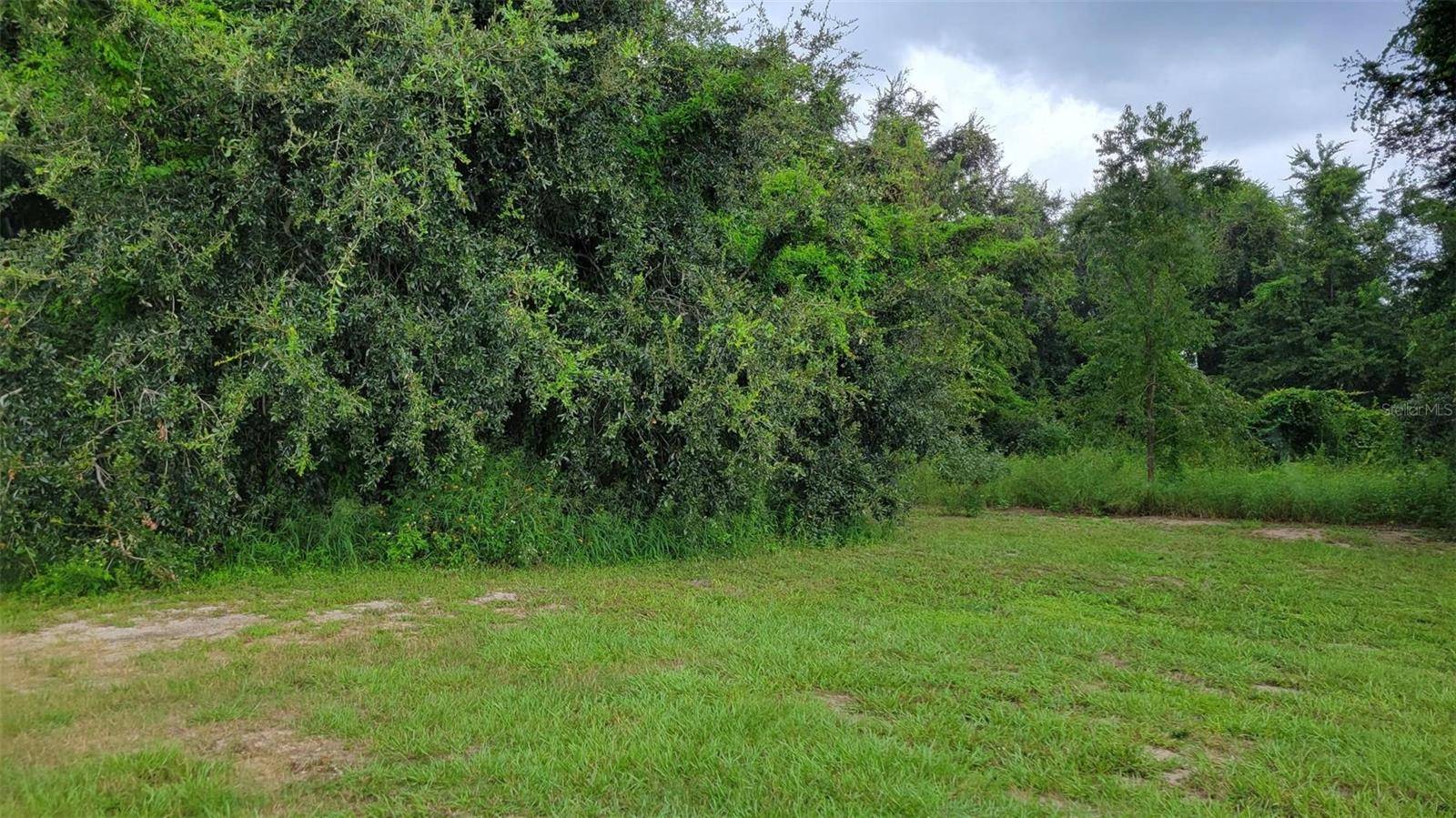 6641 WYNN LN, Groveland, FL 34736