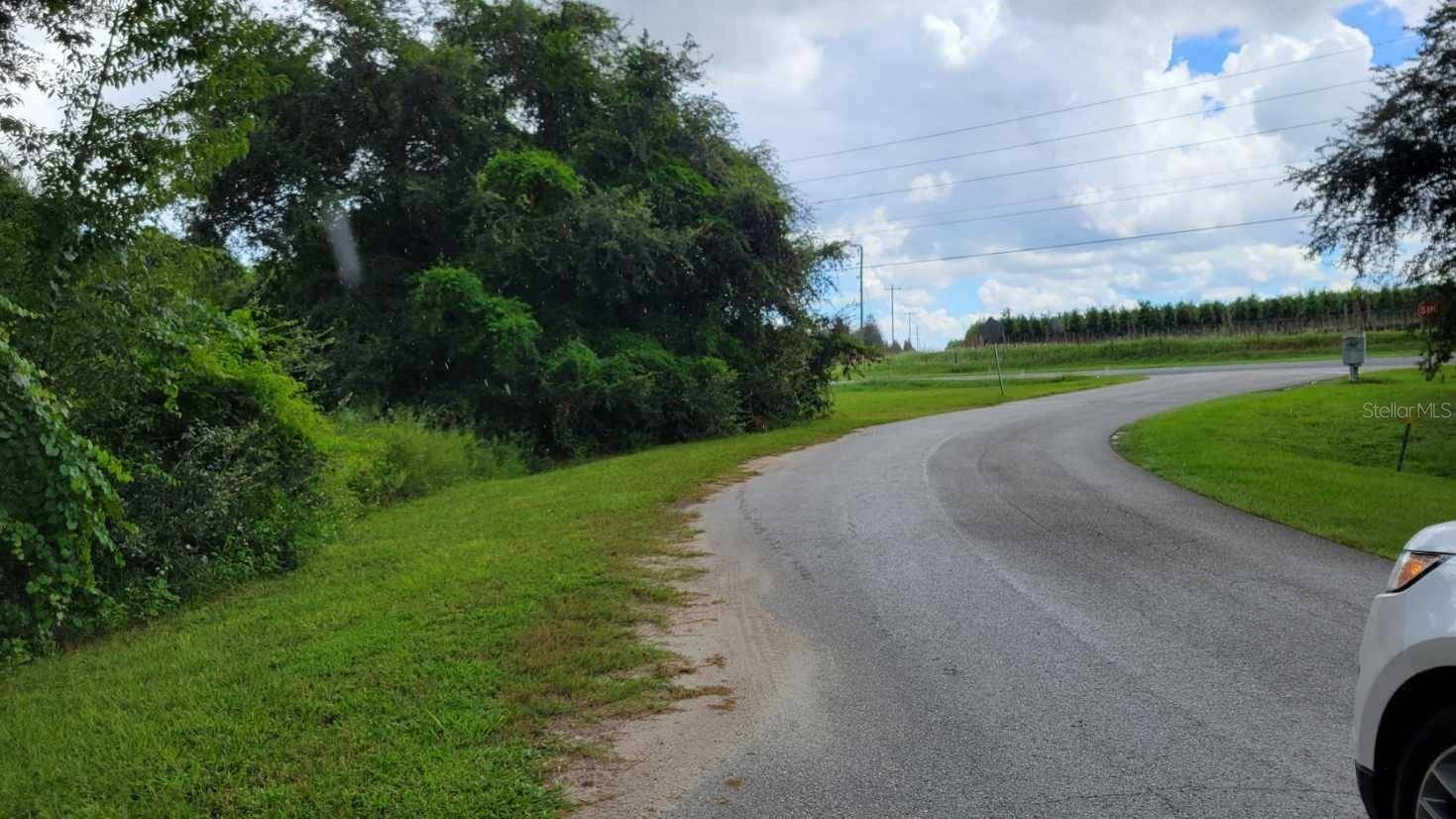 6641 WYNN LN, Groveland, FL 34736