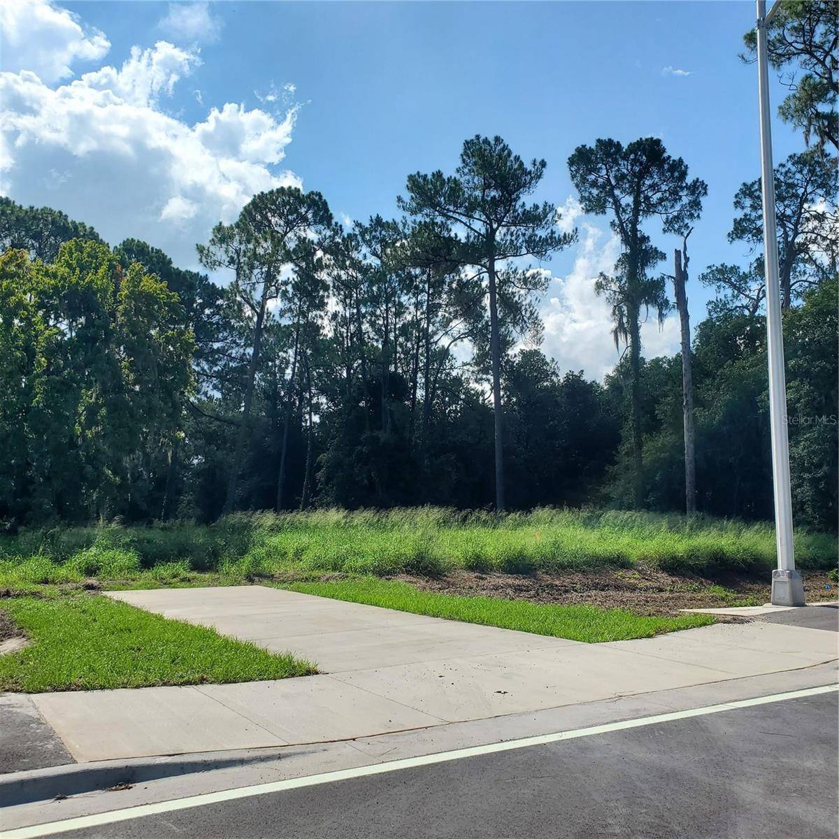 POLLARD ROAD, Winter Haven, FL 33884