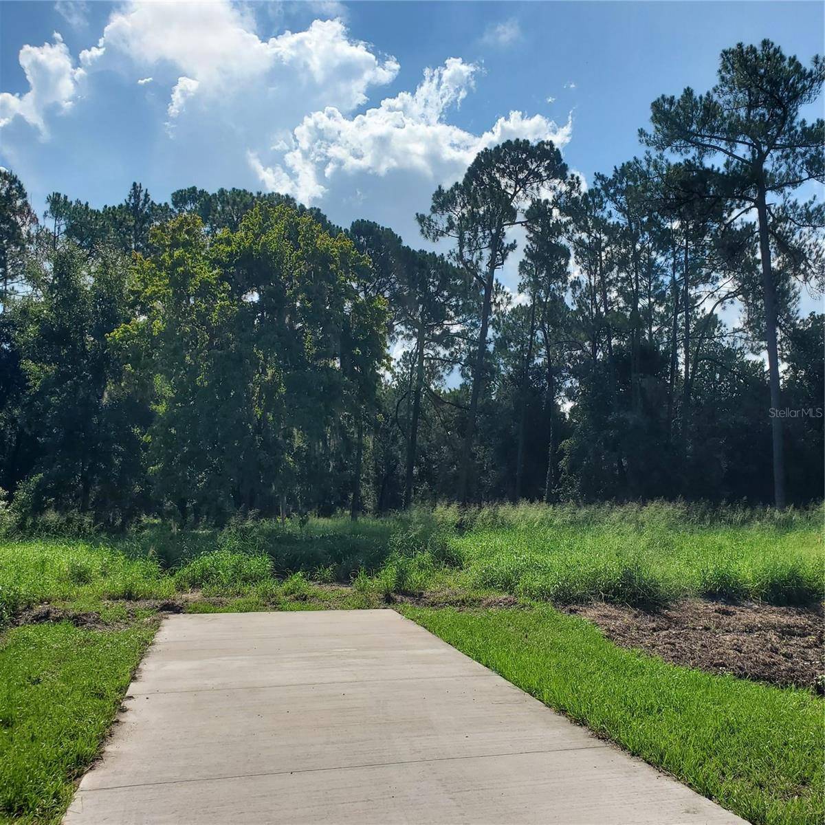 POLLARD ROAD, Winter Haven, FL 33884