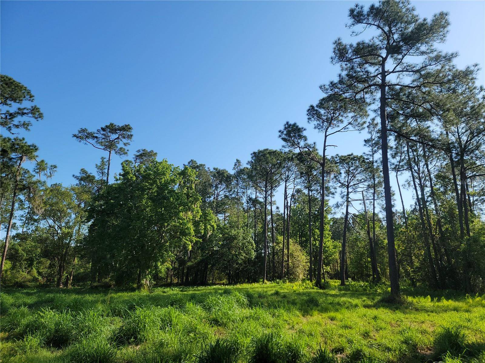 POLLARD ROAD, Winter Haven, FL 33884