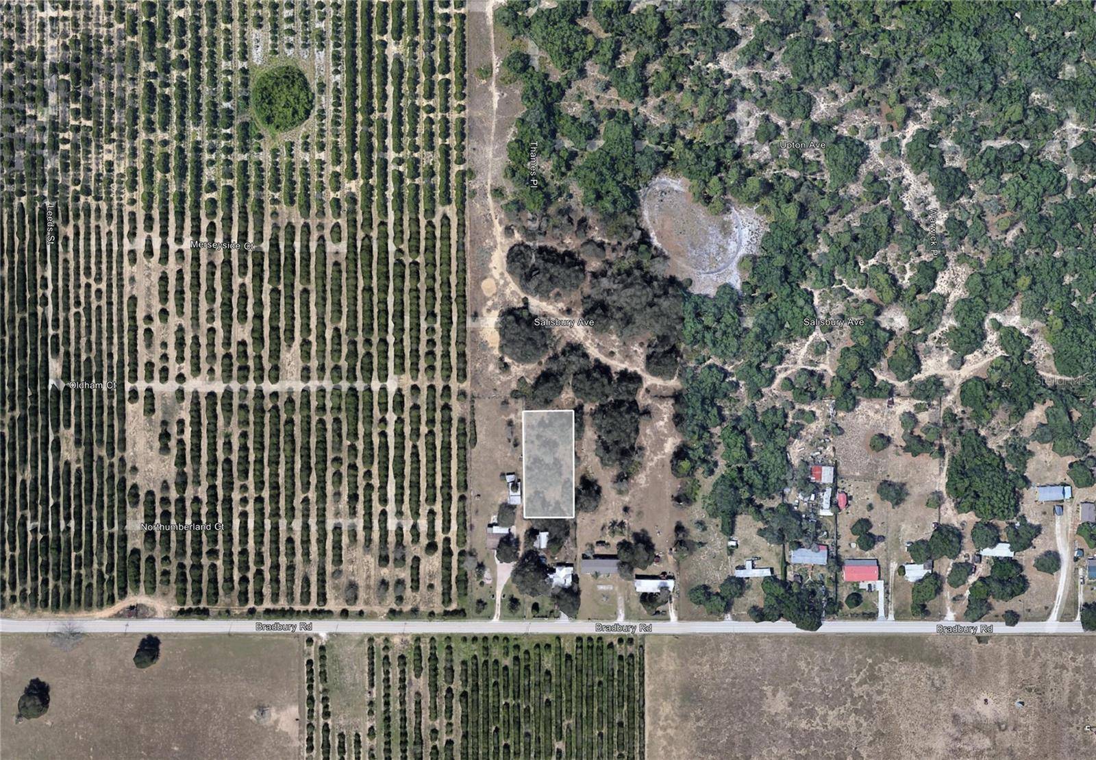 BRADBURY RD, Haines City, FL 33844