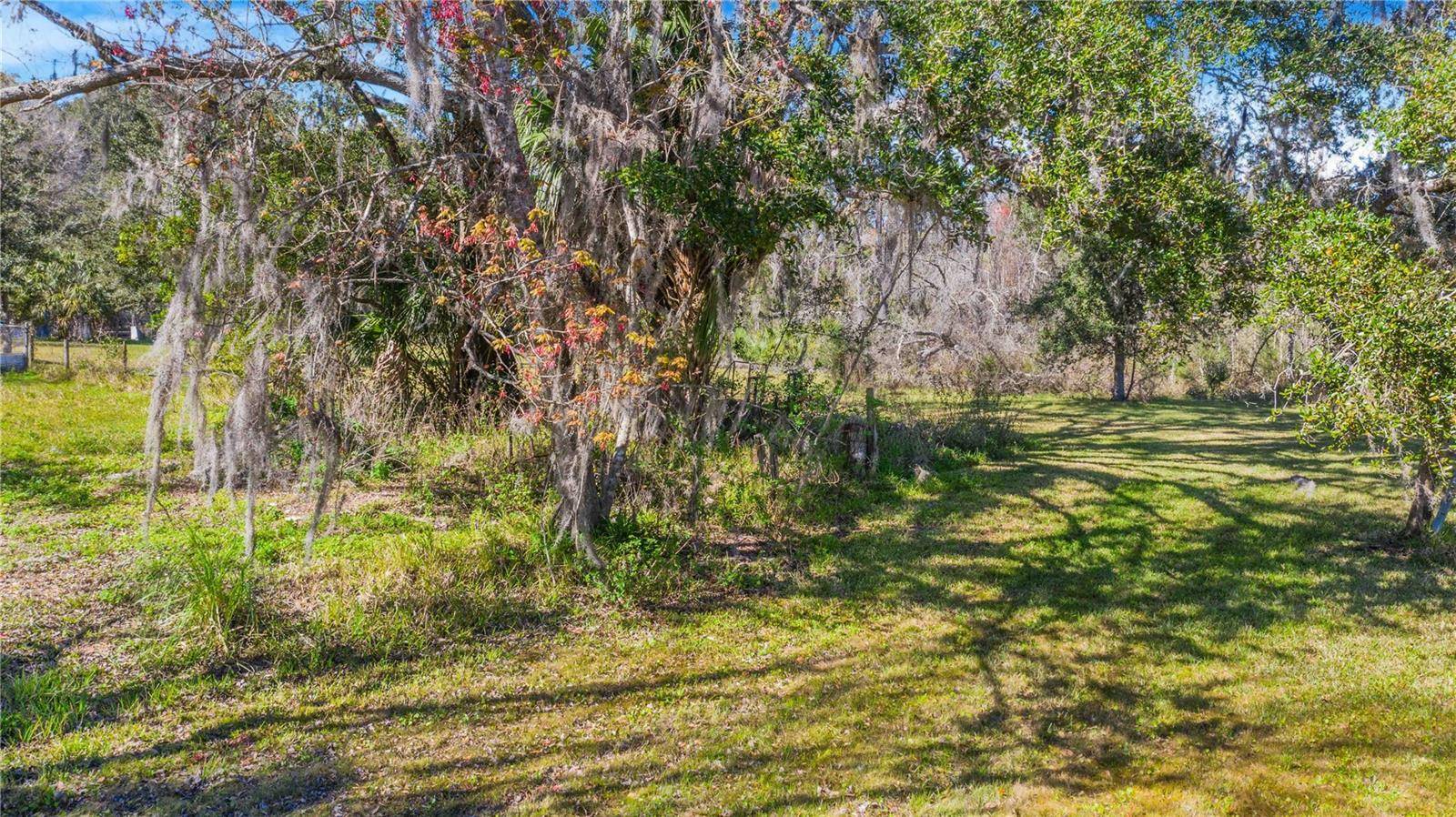 LOCKE RD, Davenport, FL 33837