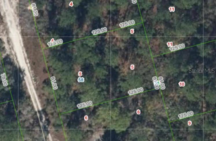 213 IMAGINATION DR, Lake Placid, FL 33852