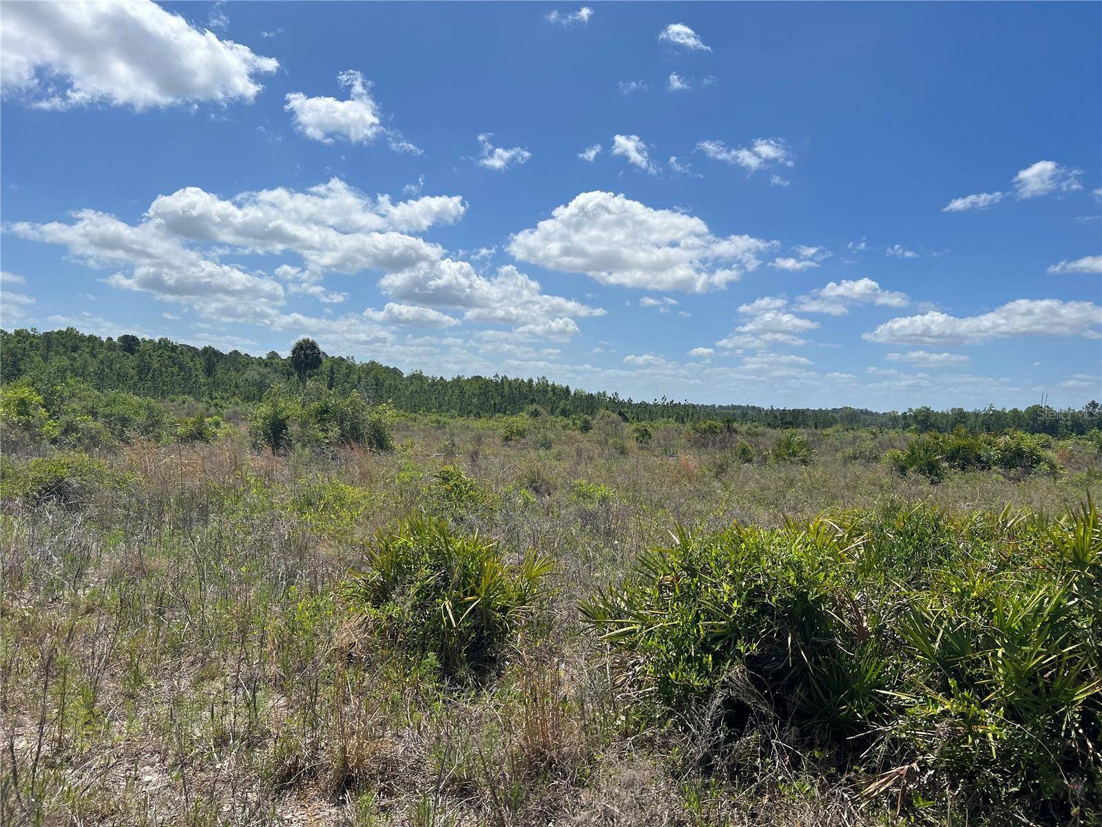 HWY 40, Dunnellon, FL 34430