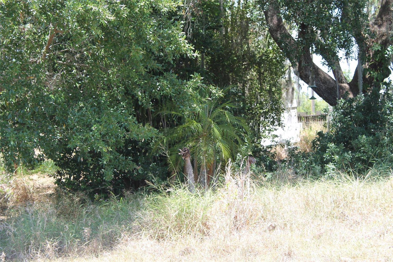 0 SUNSET TRL, Babson Park, FL 33827