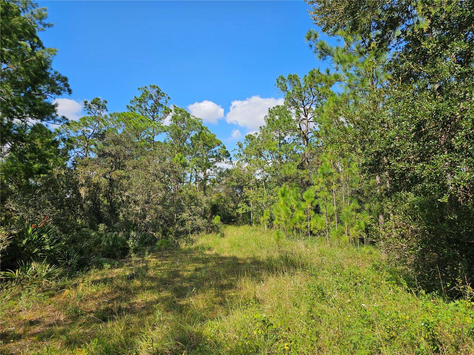7105 ORCHID PL, Sebring, FL 33875