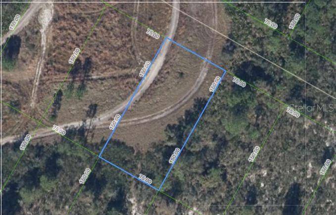 1033 CLEVELAND AVE, Lake Placid, FL 33852