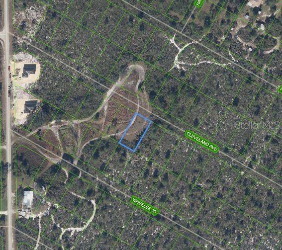 1033 CLEVELAND AVE, Lake Placid, FL 33852