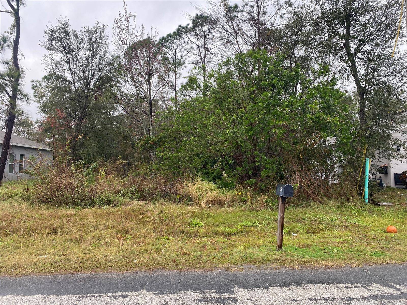 CLERMONT DR, Kissimmee, FL 34759