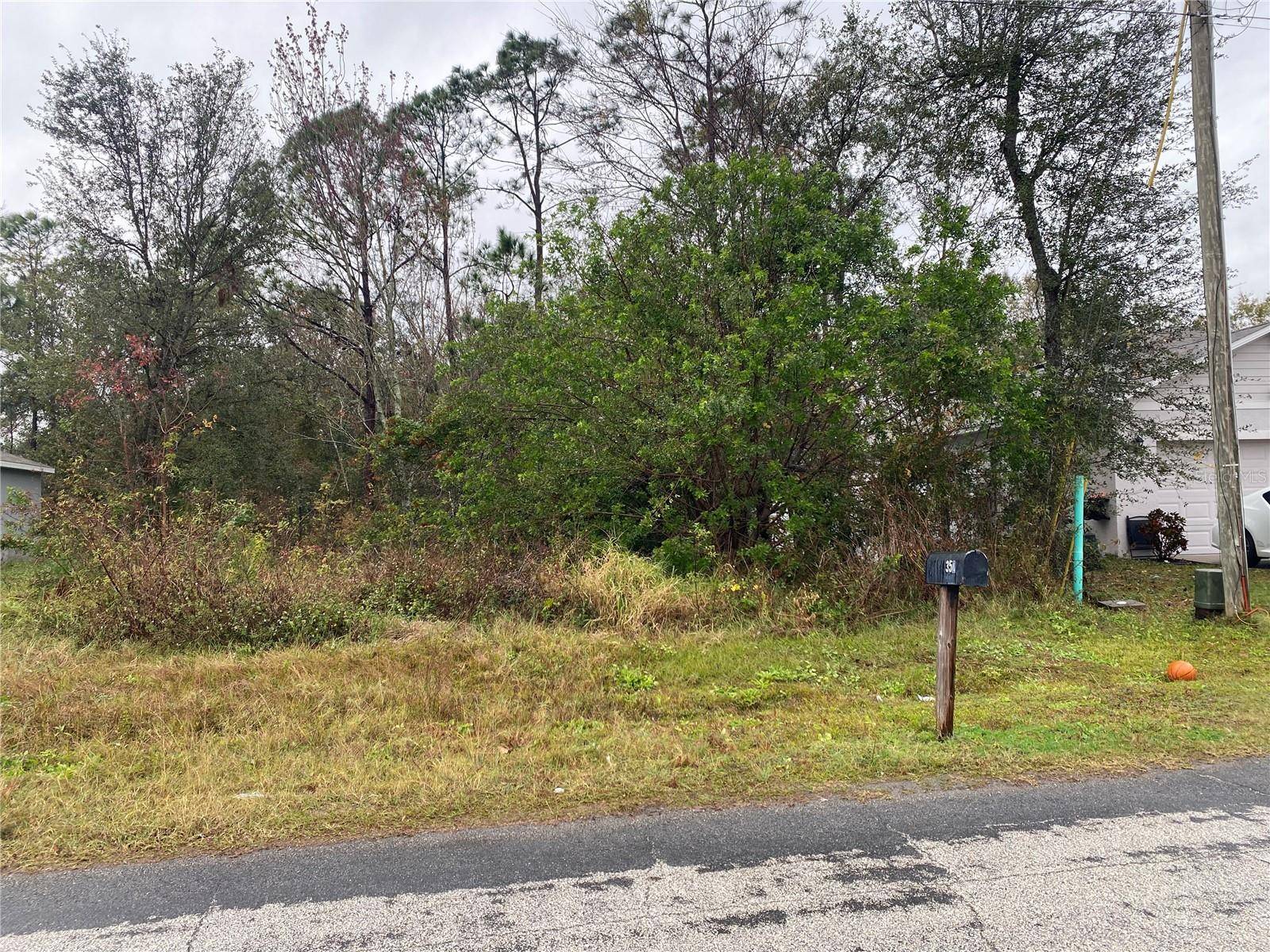 CLERMONT DR, Kissimmee, FL 34759