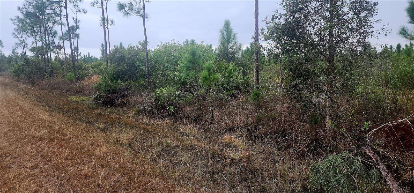 619 CALENDULA DR, Indian Lake Estates, FL 33855