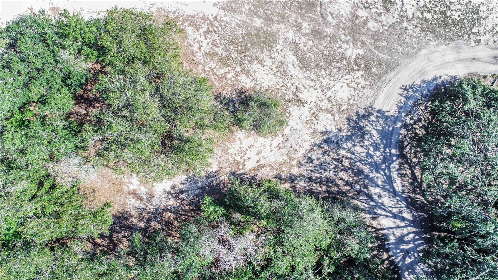 DANIEL ST, Dundee, FL 33838
