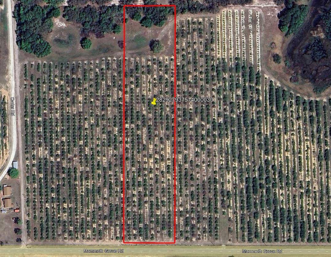 MAMMOTH GROVE ROAD, Lake Wales, FL 33898