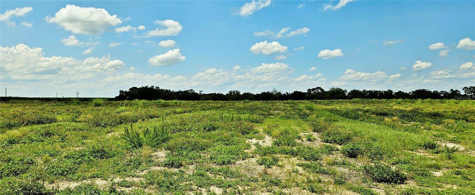 MAMMOTH GROVE ROAD, Lake Wales, FL 33898