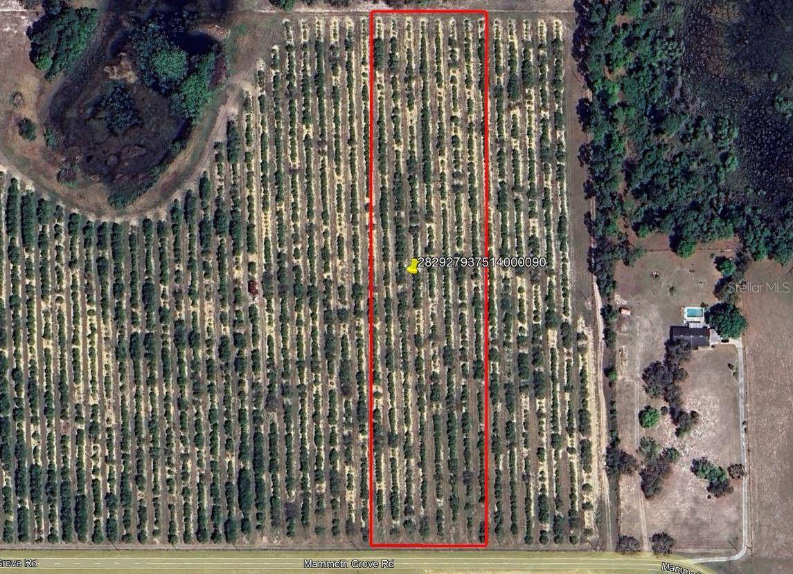 MAMMOTH GROVE ROAD, Lake Wales, FL 33898