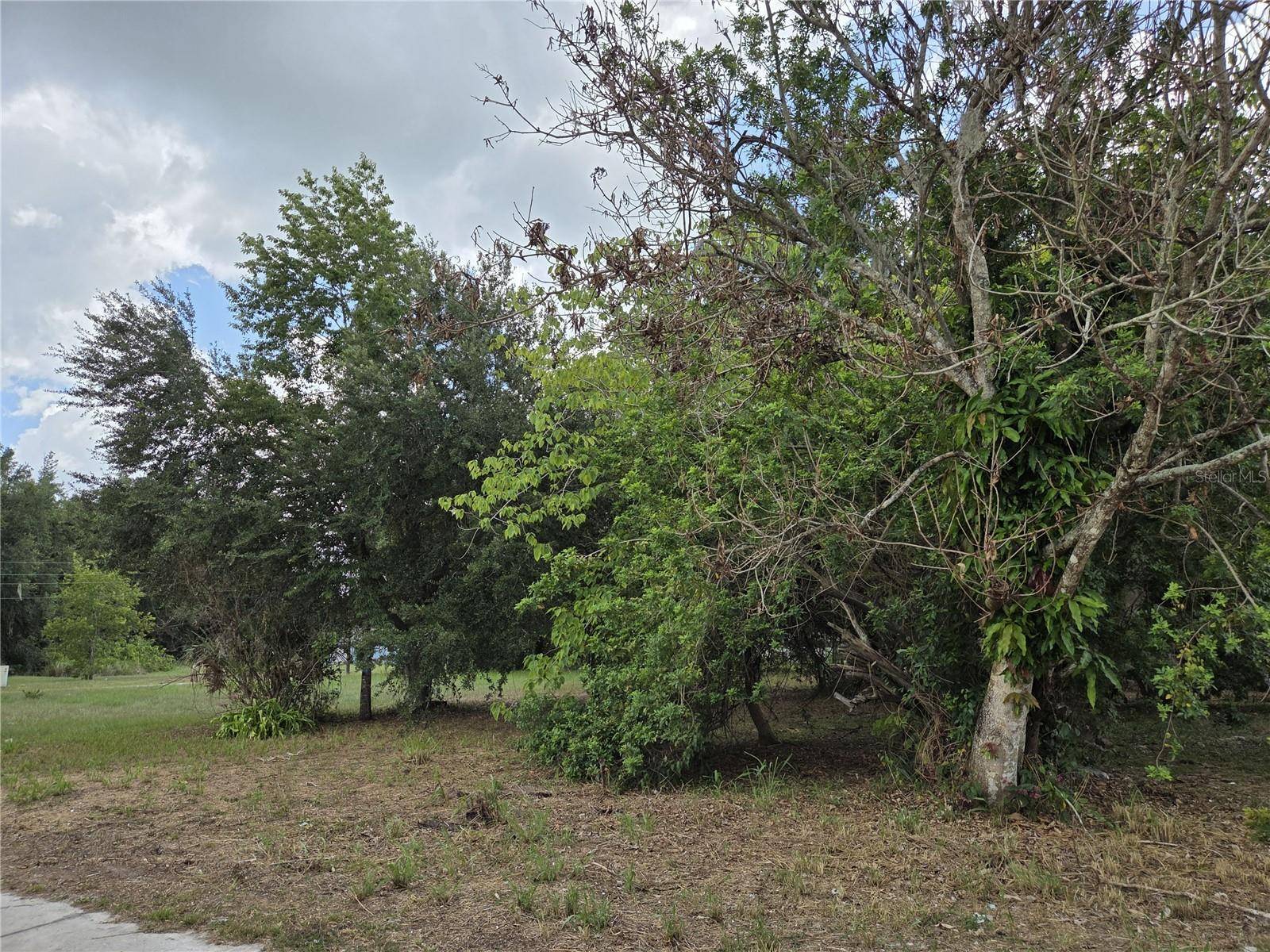 505 S LANIER AVE, Fort Meade, FL 33841