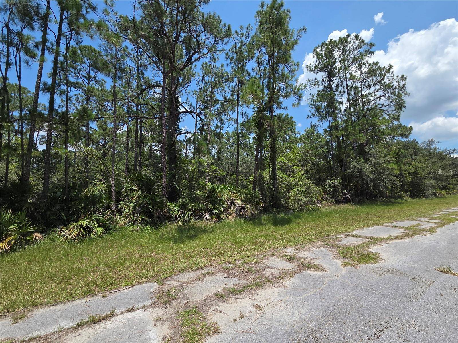 0 ALLAMANDA DR, Indian Lake Estates, FL 33855