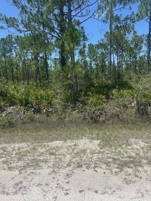1018 CALENDULA DR, Indian Lake Estates, FL 33855