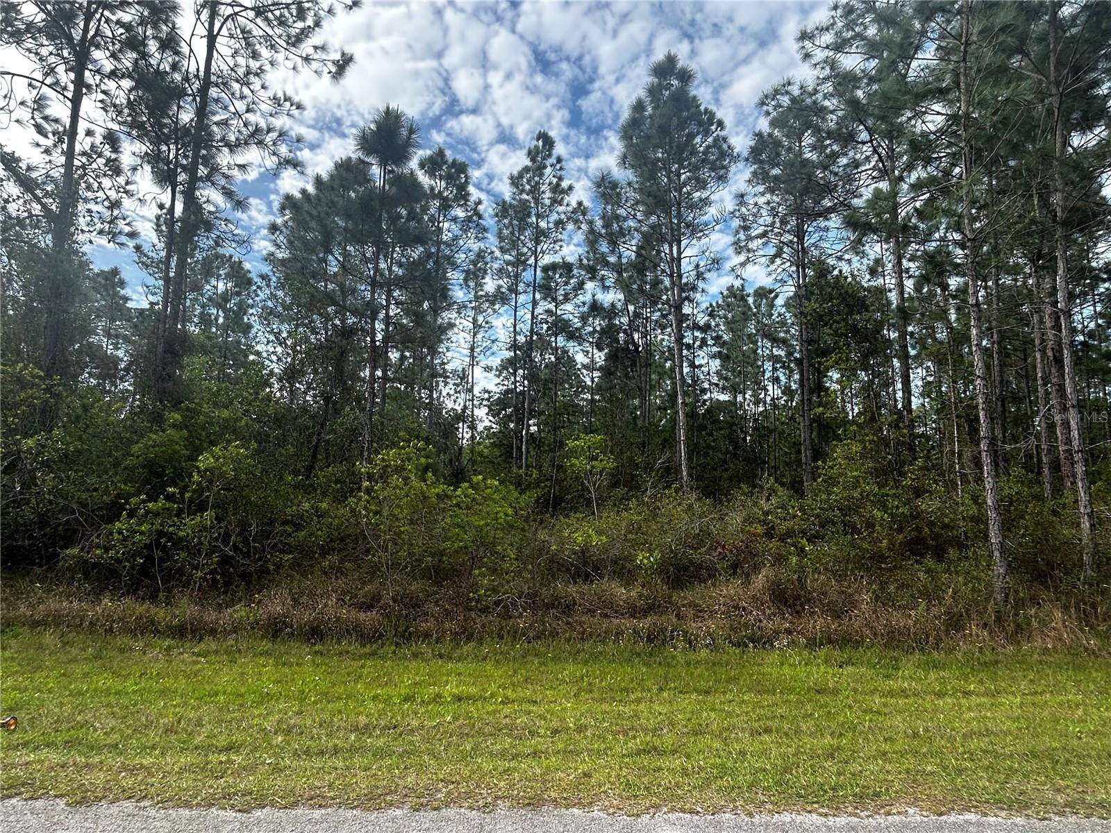 207 GARDENIA DR, Lake Wales, FL 33855