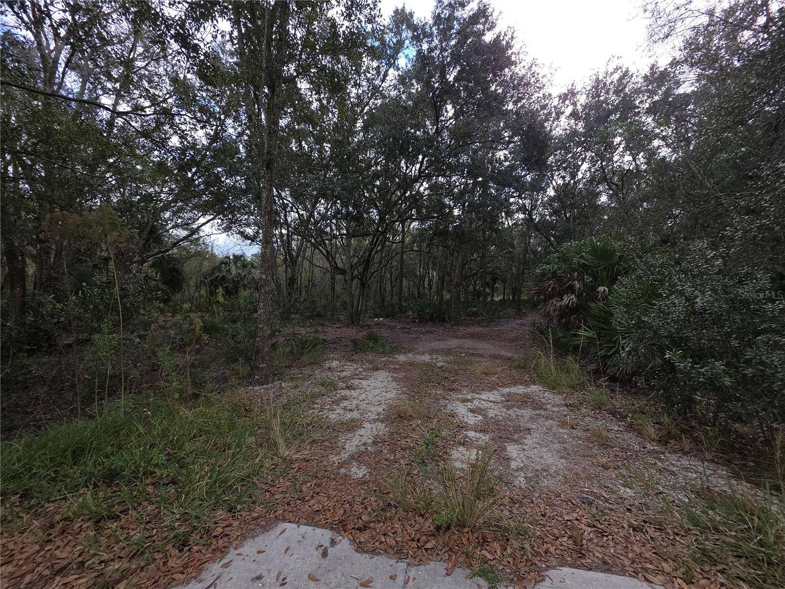 0 STATE ROAD 60 E, Lake Wales, FL 33898