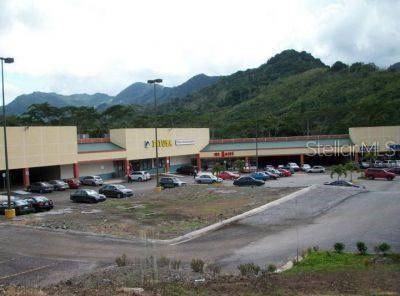 10 PR-10, Adjuntas, PR 00601