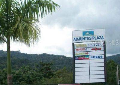 10 PR-10, Adjuntas, PR 00601