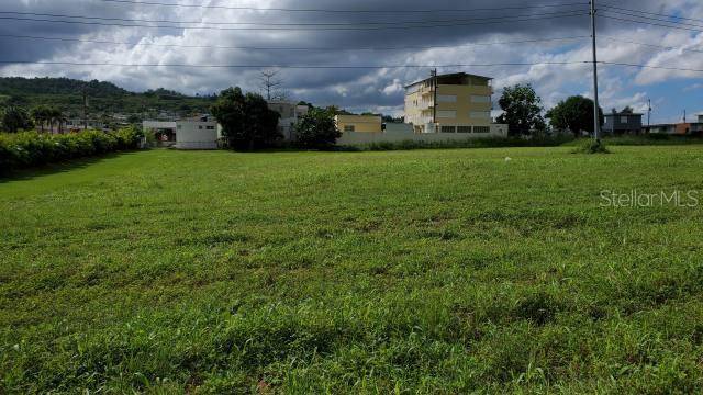 PR-174 SAN AGUSTIN, Bayamon, PR 00959