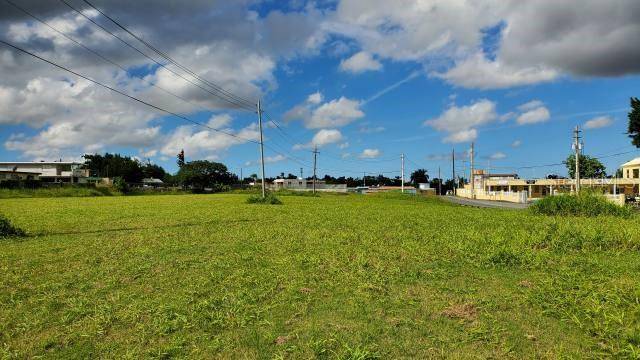 PR-174 SAN AGUSTIN, Bayamon, PR 00959