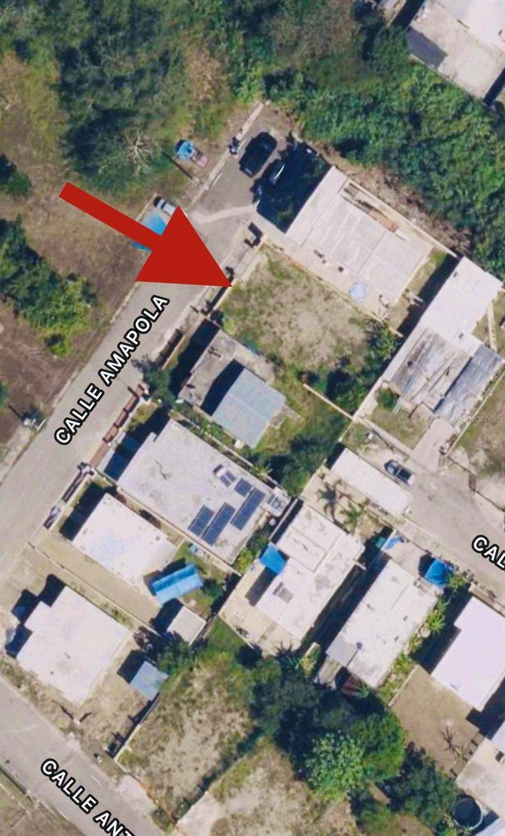 ST AMAPOLA URB. ALTURAS DEL CAFETAL #B-10, Yauco, PR 00698
