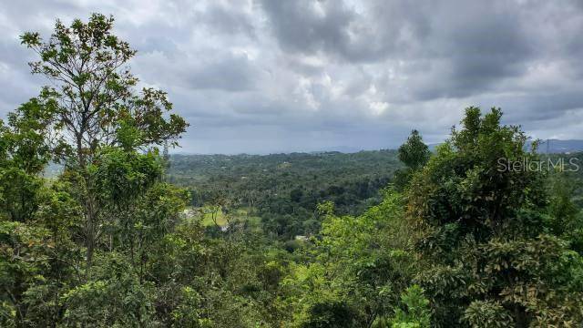 KM. 1.8 PR-678, Vega Alta, PR 00692