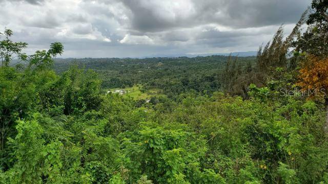 KM. 1.8 PR-678, Vega Alta, PR 00692