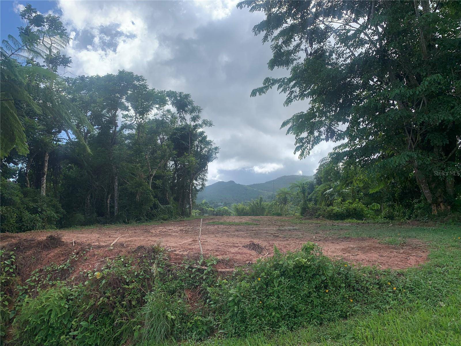 GUAYABOTAS, Yabucoa, PR 00767