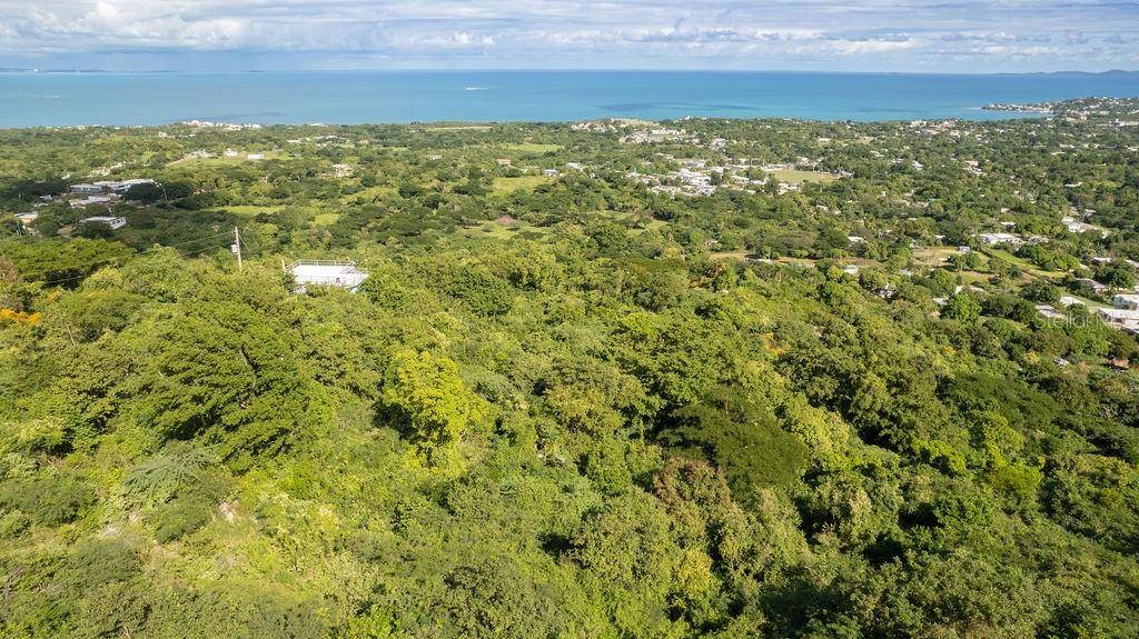 Ñ-16 PR-201, SECTOR FLORIDA, Vieques, PR 00765
