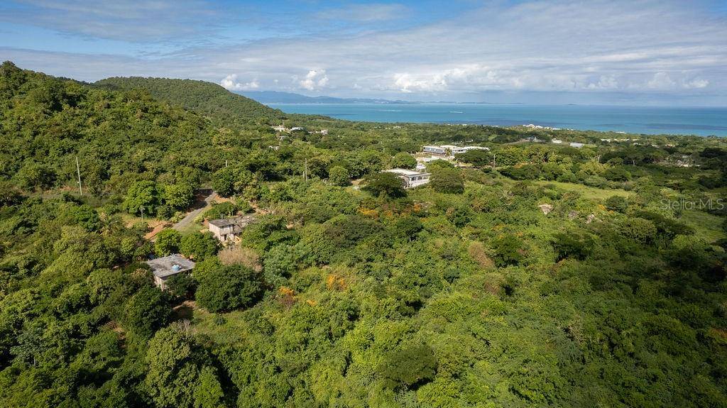 Ñ-16 PR-201, SECTOR FLORIDA, Vieques, PR 00765