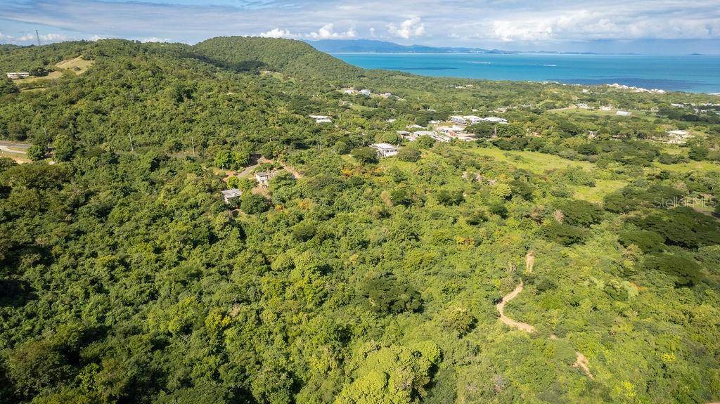 Ñ-16 PR-201, SECTOR FLORIDA, Vieques, PR 00765