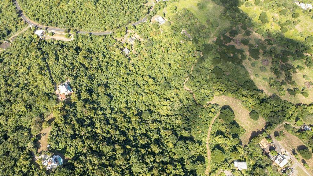 Ñ-16 PR-201, SECTOR FLORIDA, Vieques, PR 00765