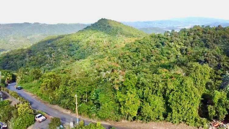 ROAD 785 KM.HM 4 BARRIO CAGUITAS, Aguas Buenas, PR 00703