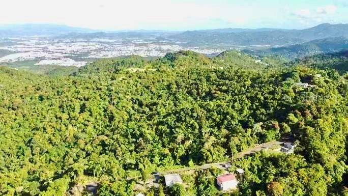 ROAD 785 KM.HM 4 BARRIO CAGUITAS, Aguas Buenas, PR 00703