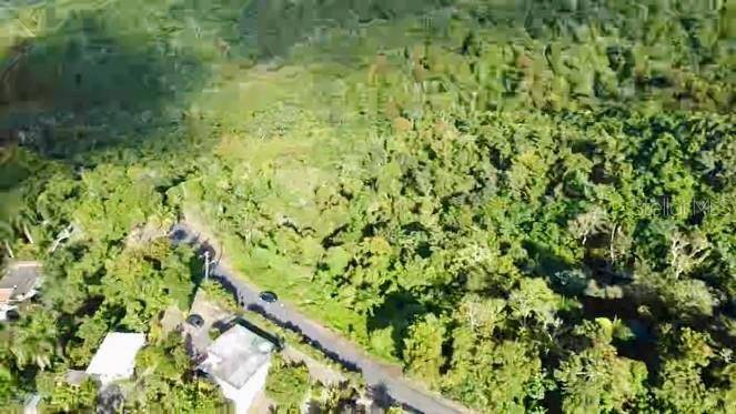 ROAD 785 KM.HM 4 BARRIO CAGUITAS, Aguas Buenas, PR 00703