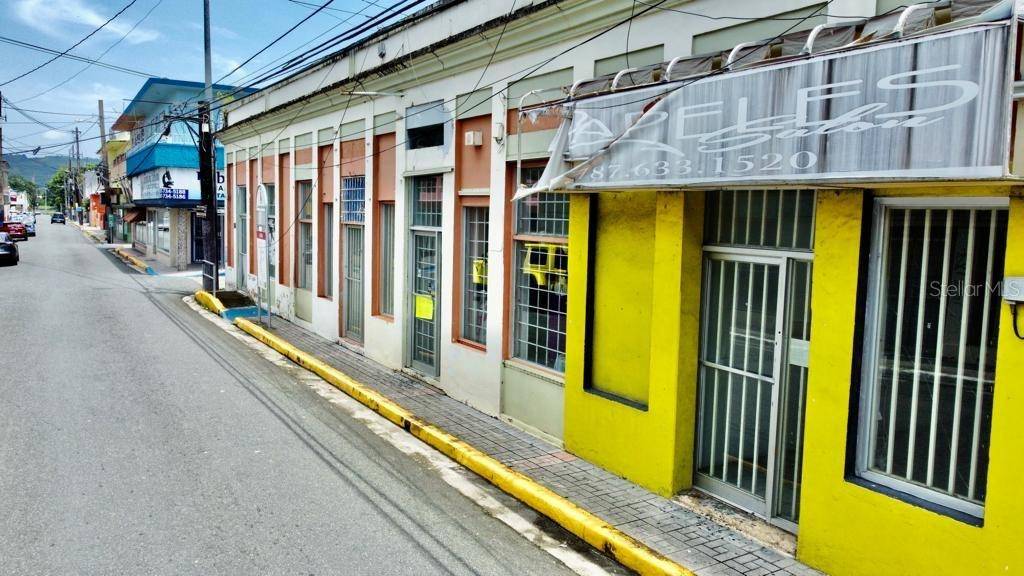 58 MUÑOZ RIVERA ESQ CORCHADO, Juncos, PR 00777