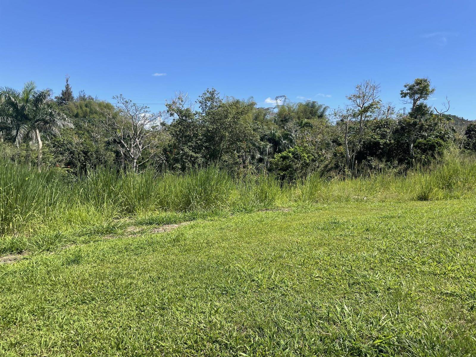 JACINTO, Caguas, PR 00725