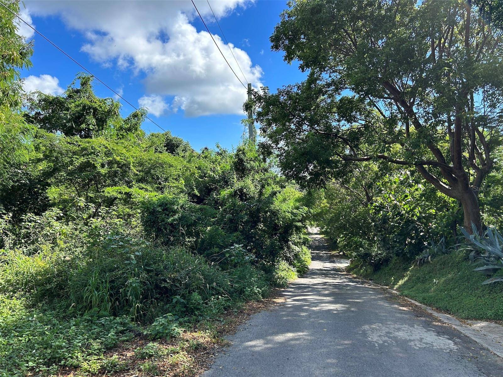 LA LLAVE, Vieques, PR 00765