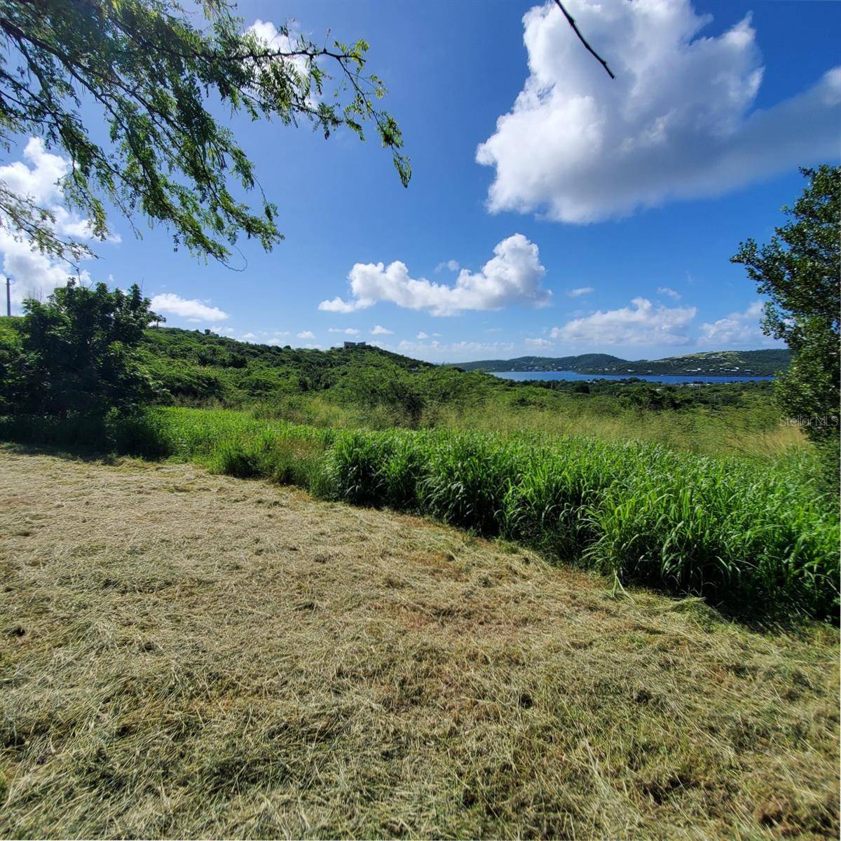 3 BARRIO FLAMENCO, Culebra, PR 00775