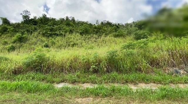 CARR 30 & CARR 203, Gurabo, PR 00778