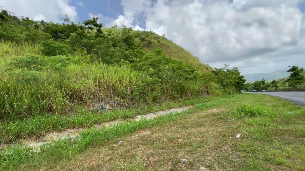 CARR 30 & CARR 203, Gurabo, PR 00778